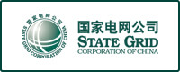 国家电网中电飞华中电普华